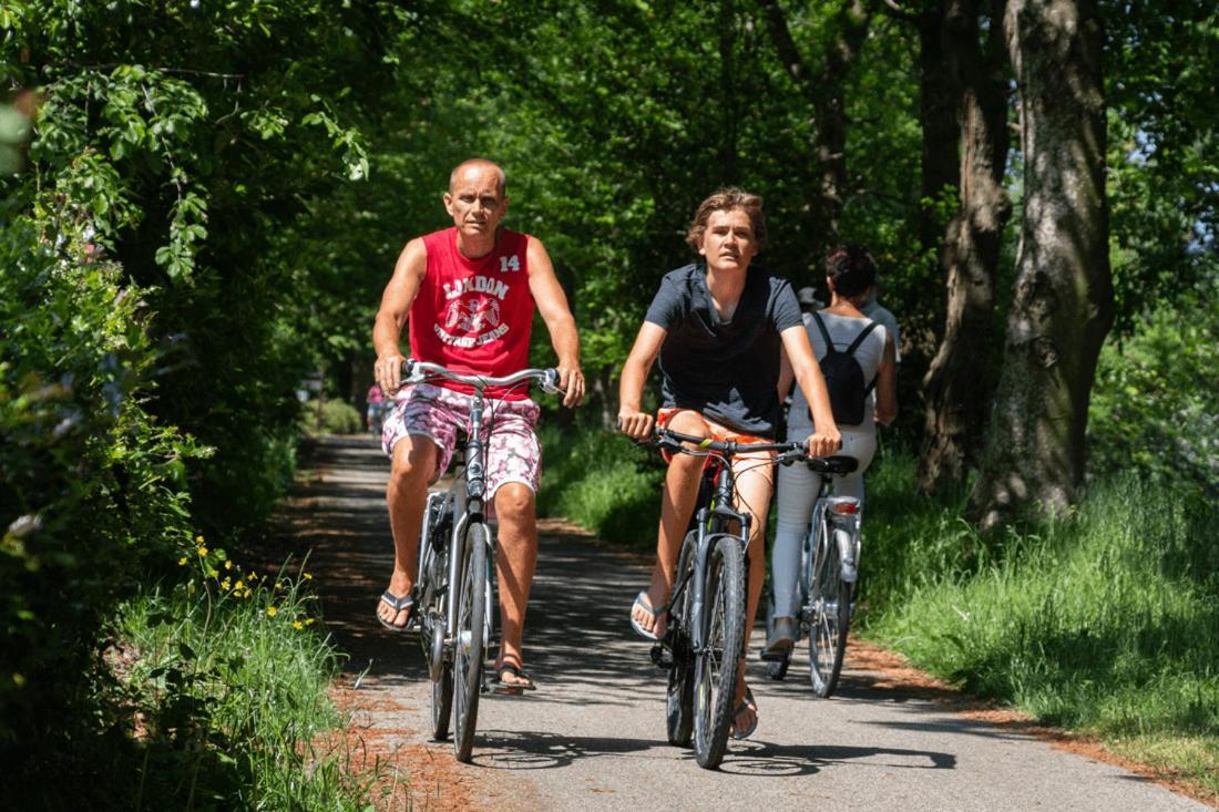 Chalet 'T Rijsterbos Op Camping Met Zwembad! Villa Kültér fotó